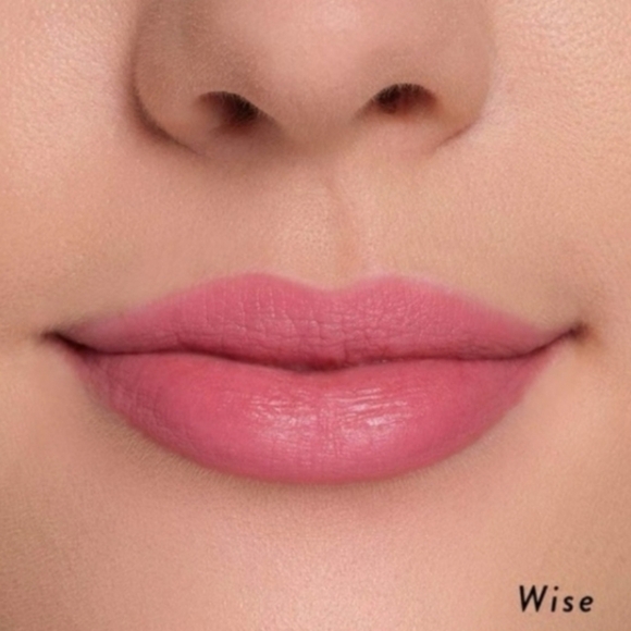 🦋 Laura Geller Smart Pout Transfer-Proof Lipstick (in Wise) - Picture 5 of 14